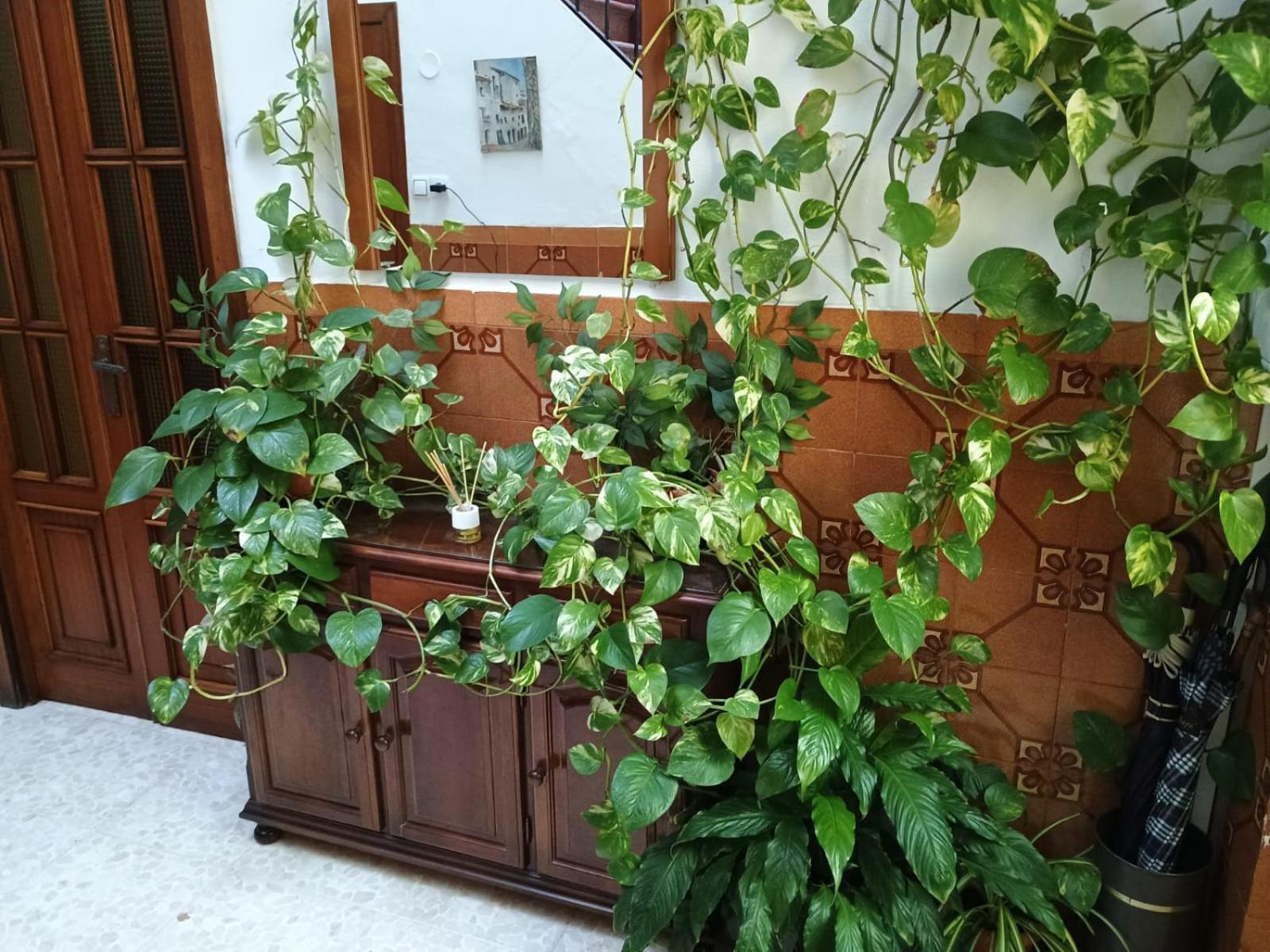Casa Matbel Apartman Córdoba Kültér fotó